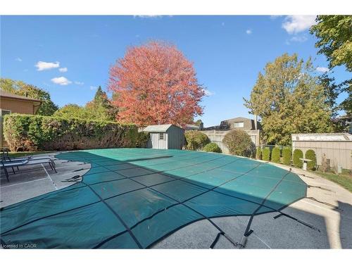 153 Forestwood Drive, Kitchener, ON - Outdoor With In Ground Pool With Backyard