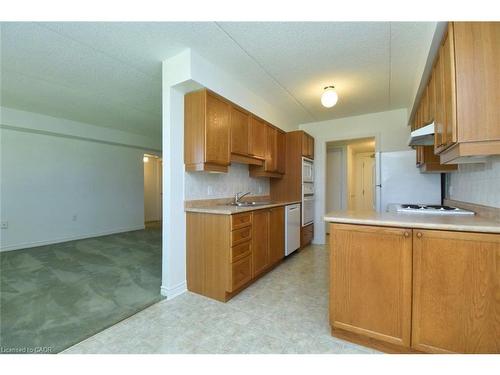102-600 Silverbirch Boulevard, Hamilton, ON - Indoor Photo Showing Kitchen With Double Sink