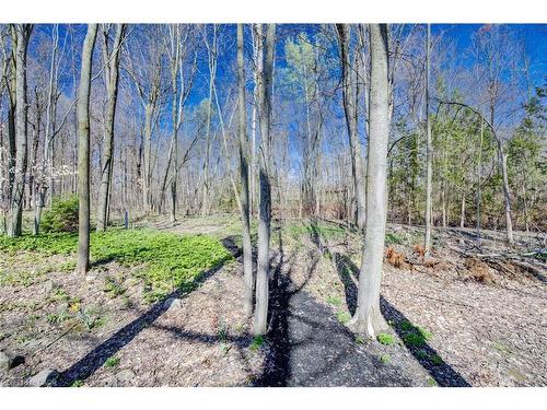 439 Northlake Drive, Waterloo, ON - Outdoor With View