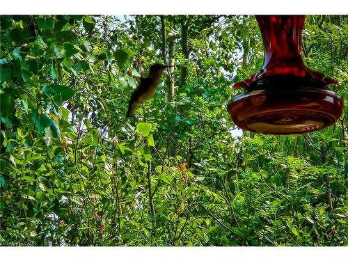 4274 Sixth Avenue, Niagara Falls, ON - Outdoor