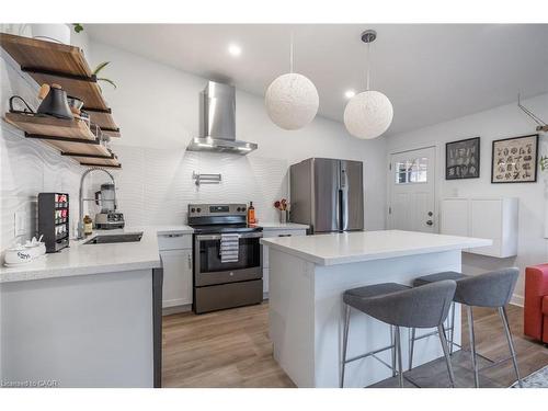 48 Frederick Avenue, Hamilton, ON - Indoor Photo Showing Kitchen With Stainless Steel Kitchen With Upgraded Kitchen