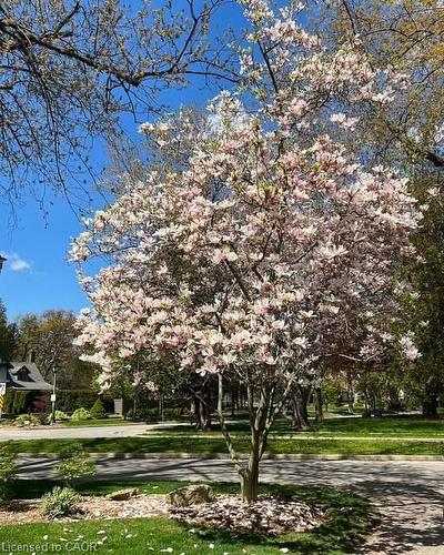 206 Rossmore Boulevard, Burlington, ON - Outdoor With View