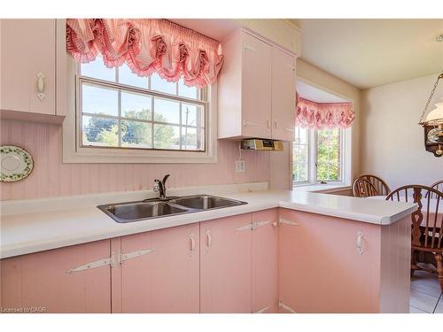 378 Stevenson Street N, Guelph, ON - Indoor Photo Showing Kitchen With Double Sink