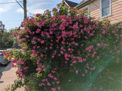 24 Hunt Street, Hamilton, ON - Outdoor