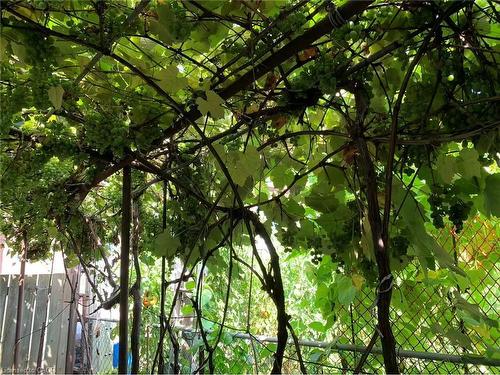 2-26 Barton Street W, Hamilton, ON - Outdoor