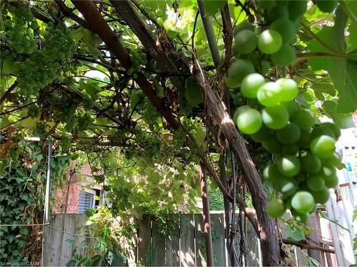 2-26 Barton Street W, Hamilton, ON - Outdoor