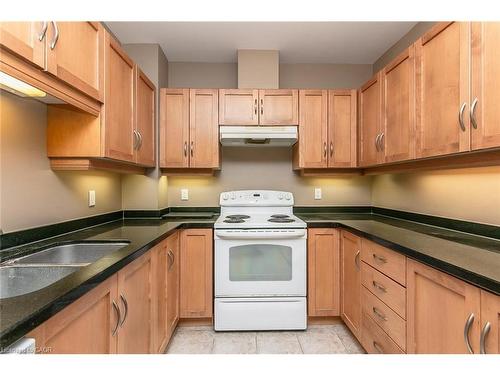 211-165 Duke Street E, Kitchener, ON - Indoor Photo Showing Kitchen