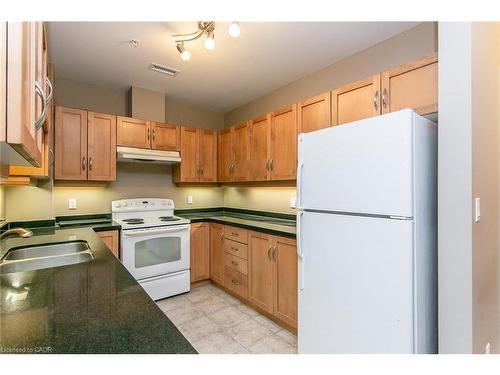 211-165 Duke Street E, Kitchener, ON - Indoor Photo Showing Kitchen With Double Sink