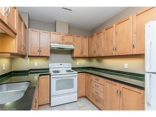 211-165 Duke Street E, Kitchener, ON - Indoor Photo Showing Kitchen