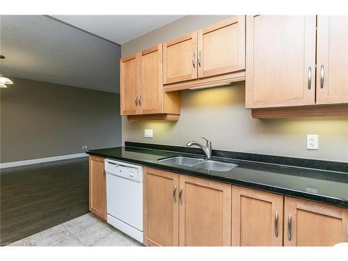 211-165 Duke Street E, Kitchener, ON - Indoor Photo Showing Kitchen With Double Sink