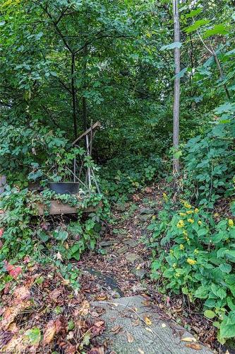 210 Charlton Avenue E, Hamilton, ON - Outdoor