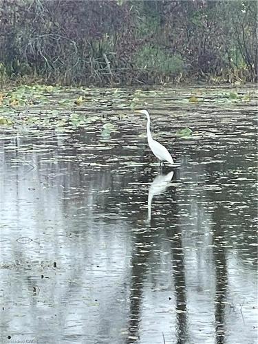 25 First Avenue, Long Point, ON - Outdoor With Body Of Water With View