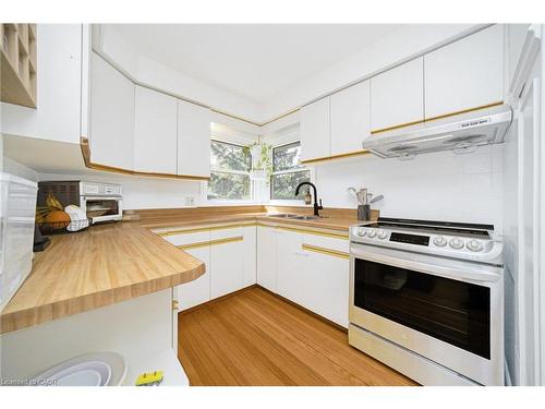 115 Welbourn Drive, Hamilton, ON - Indoor Photo Showing Kitchen With Double Sink