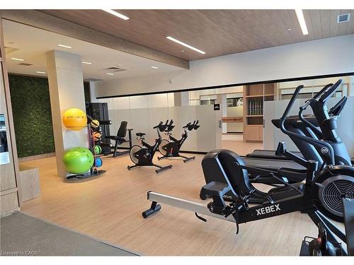 220-3250 Carding Mill Trail, Oakville, ON - Indoor Photo Showing Gym Room