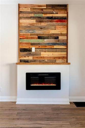 250 Avondale Street, Hamilton, ON - Indoor Photo Showing Other Room With Fireplace