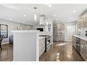 146 Lavina Crescent, Hamilton, ON  - Indoor Photo Showing Kitchen With Upgraded Kitchen 