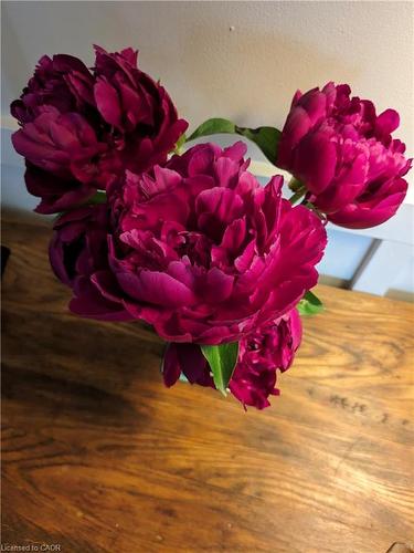 136 Glenariff Drive, Hamilton, ON - Indoor