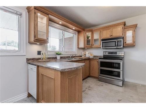407 Murray Street, Grimsby, ON - Indoor Photo Showing Kitchen With Double Sink