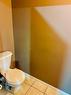 225 Cotton Grass Street, Kitchener, ON  - Indoor Photo Showing Bathroom 