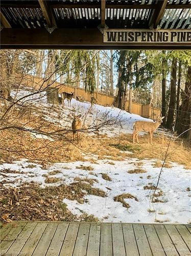 6 Begue Street, Dundas, ON - Outdoor