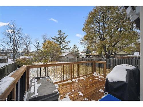 1326 Queenston Road, Cambridge, ON - Outdoor With Deck Patio Veranda