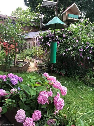 32 Matilda Street S, Dundas, ON - Outdoor