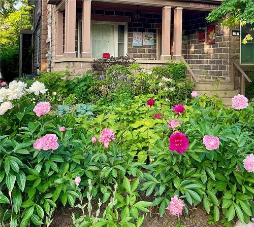 34 Menno Street, Waterloo, ON - Outdoor