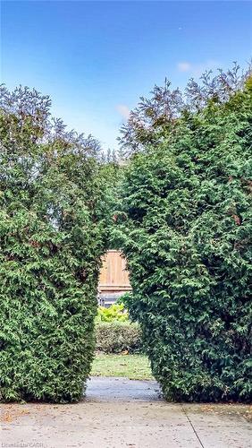 3 Turner Avenue, Hamilton, ON - Outdoor