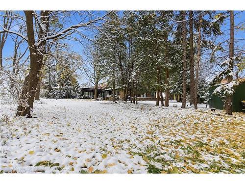 16 Freeland Court, Hamilton, ON - Outdoor