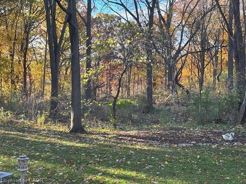 16 Freeland Court, Hamilton, ON - Outdoor With View