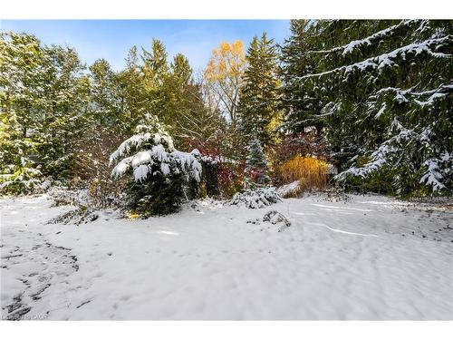 1-79 Central Drive, Hamilton, ON - Outdoor