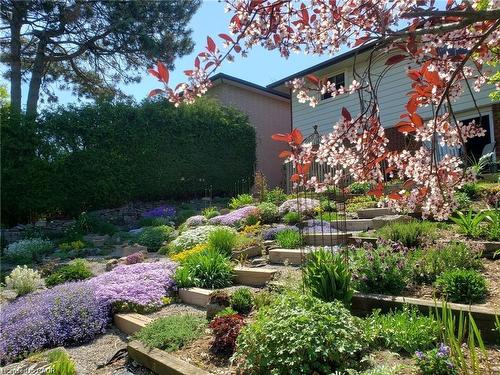 177 Lavina Crescent, Hamilton, ON - Outdoor