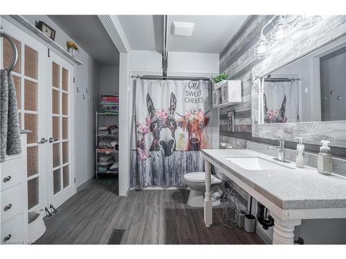 50 Scottacres Boulevard, Caledonia, ON - Indoor Photo Showing Bathroom