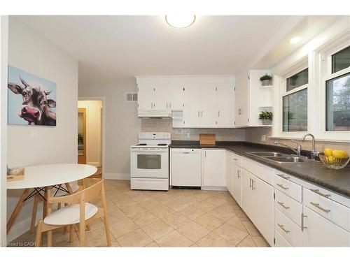 296 Dumfries Avenue, Kitchener, ON - Indoor Photo Showing Kitchen With Double Sink