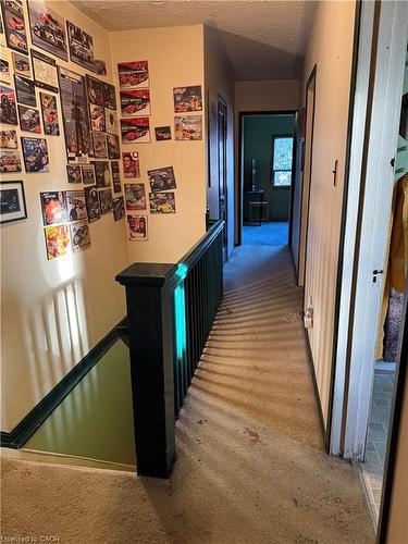 205 Locke Street N, Hamilton, ON - Indoor Photo Showing Other Room