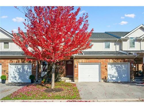 3-151 Clairfields Drive  Guelph, ON N1L 1P5