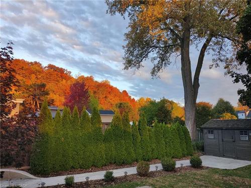 25 Montrose Avenue, Hamilton, ON - Outdoor