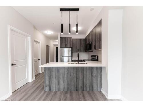 406-120 Springvalley Crescent, Hamilton, ON - Indoor Photo Showing Kitchen With Stainless Steel Kitchen With Upgraded Kitchen