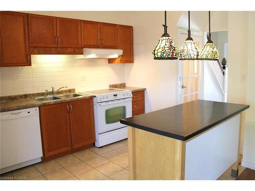 15 Springer Avenue, Hamilton, ON - Indoor Photo Showing Kitchen With Double Sink