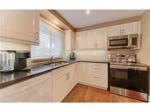 45 Shuh Avenue, Kitchener, ON - Indoor Photo Showing Kitchen With Double Sink