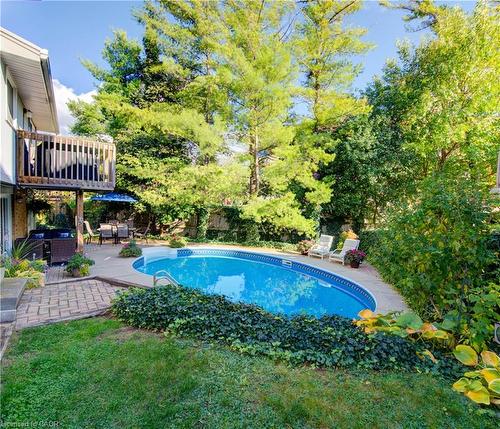 45 Shuh Avenue, Kitchener, ON - Outdoor With In Ground Pool With Deck Patio Veranda With Backyard