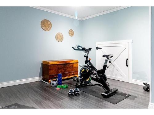 48 Arbutus Crescent, Stoney Creek, ON - Indoor Photo Showing Gym Room