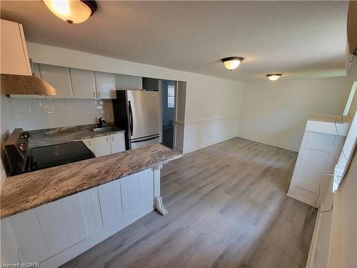 Lower-98 West Avenue N, Hamilton, ON - Indoor Photo Showing Kitchen