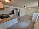 Lower-98 West Avenue N, Hamilton, ON  - Indoor Photo Showing Kitchen 