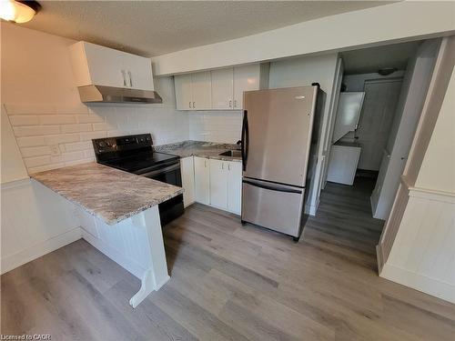 Lower-98 West Avenue N, Hamilton, ON - Indoor Photo Showing Kitchen