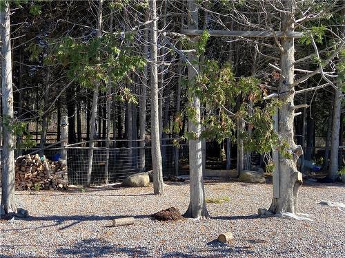 2916 Shannonville Road, Tyendinaga, ON - Outdoor