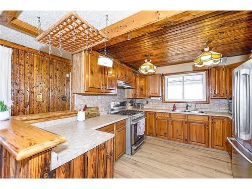 58 Eastvale Place, Hamilton, ON - Indoor Photo Showing Kitchen With Double Sink