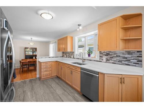 193 Glenariff Drive, Hamilton, ON - Indoor Photo Showing Kitchen With Double Sink
