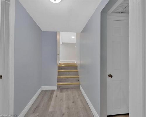 Basement-9 Gafney Court, Hamilton, ON - Indoor Photo Showing Other Room