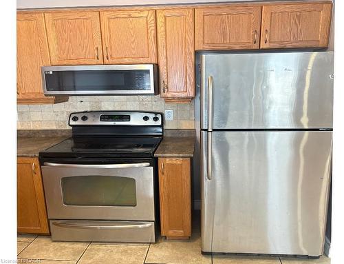 51 Sophia Crescent, Kitchener, ON - Indoor Photo Showing Kitchen